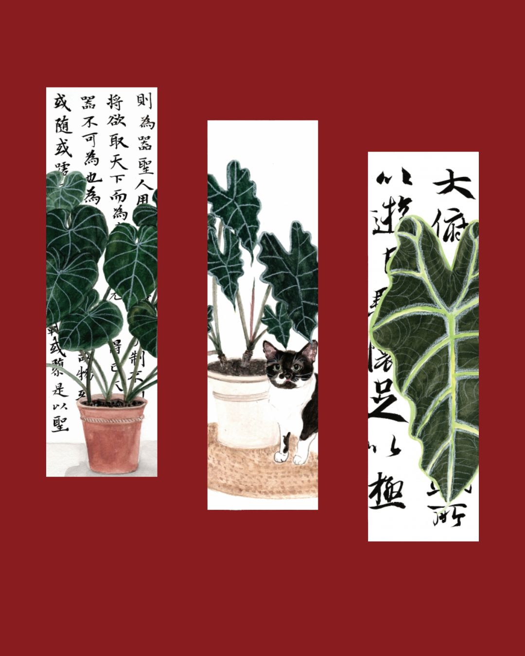 Bookmarks C -Set of 3