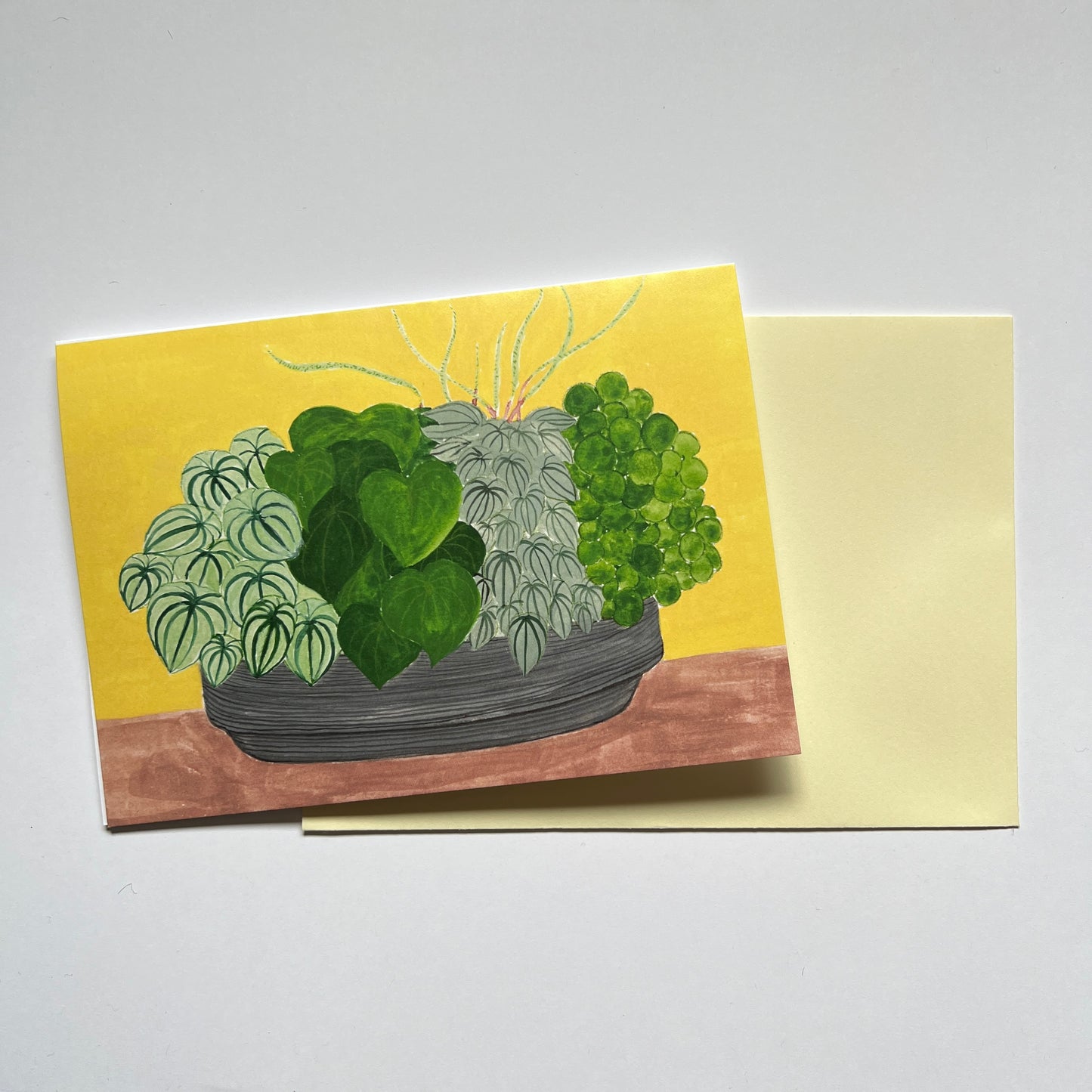 Peperomia Greeting Card