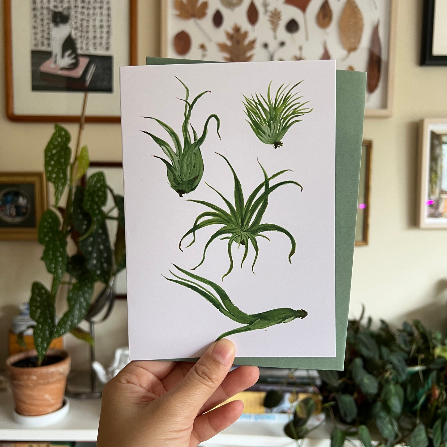 Air Plants Greeting Card
