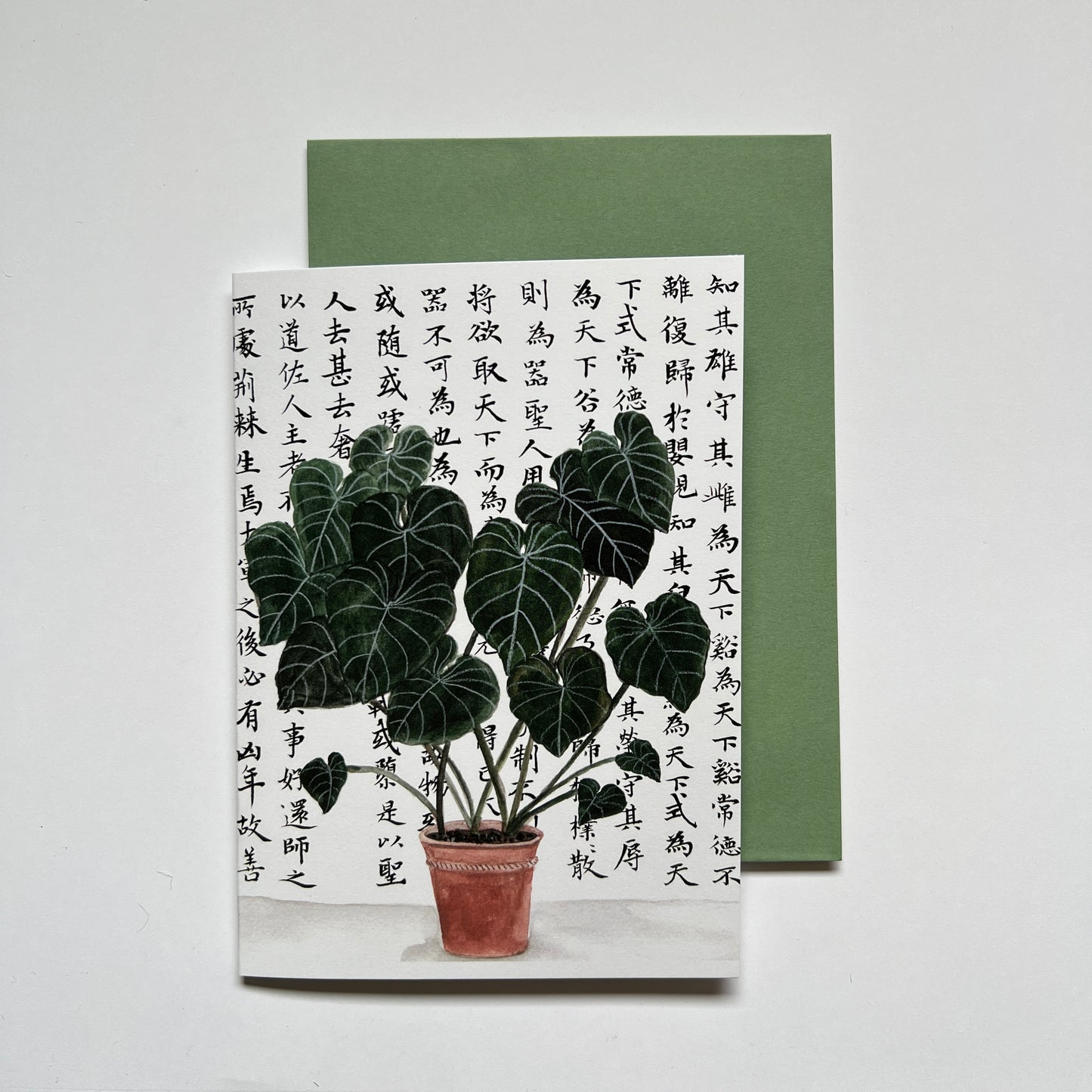 Philodendron Greeting Card