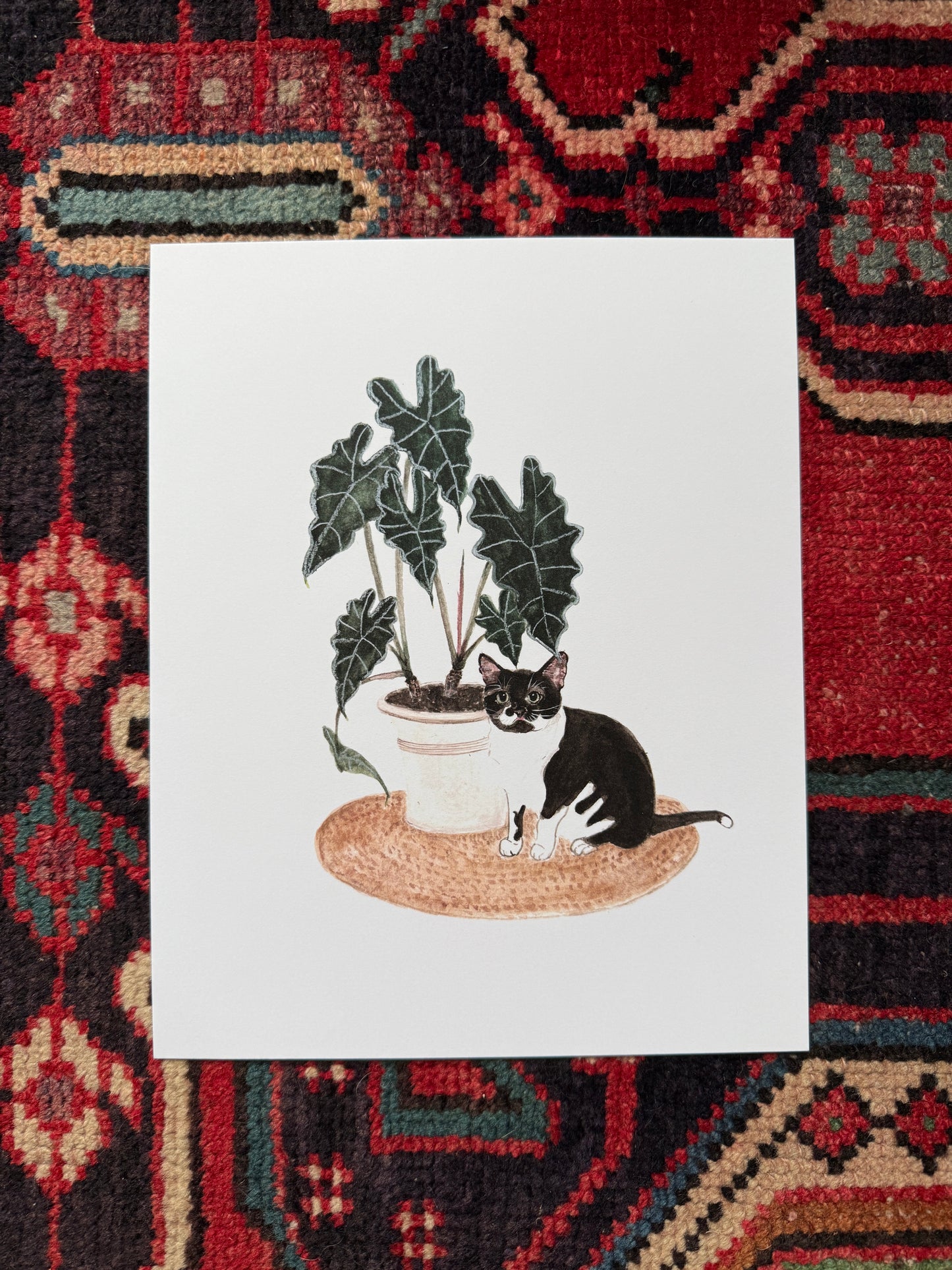 Tuxedo Cat and Alocasia Print