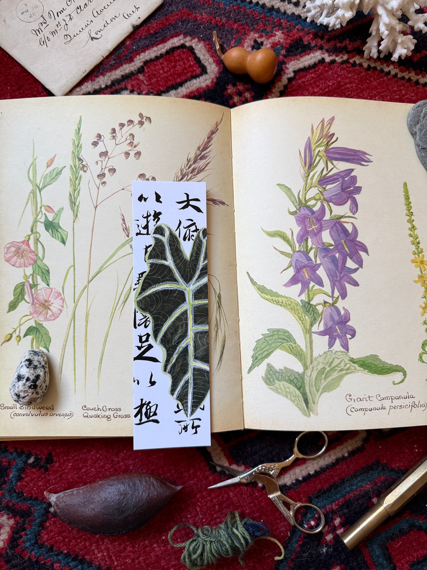 Alocasia Plant Bookmark