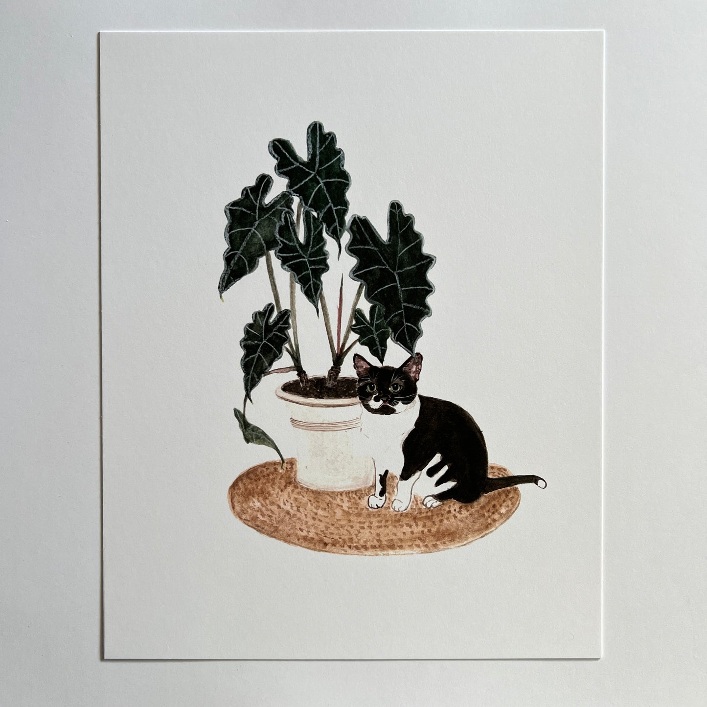 Tuxedo Cat and Alocasia Print