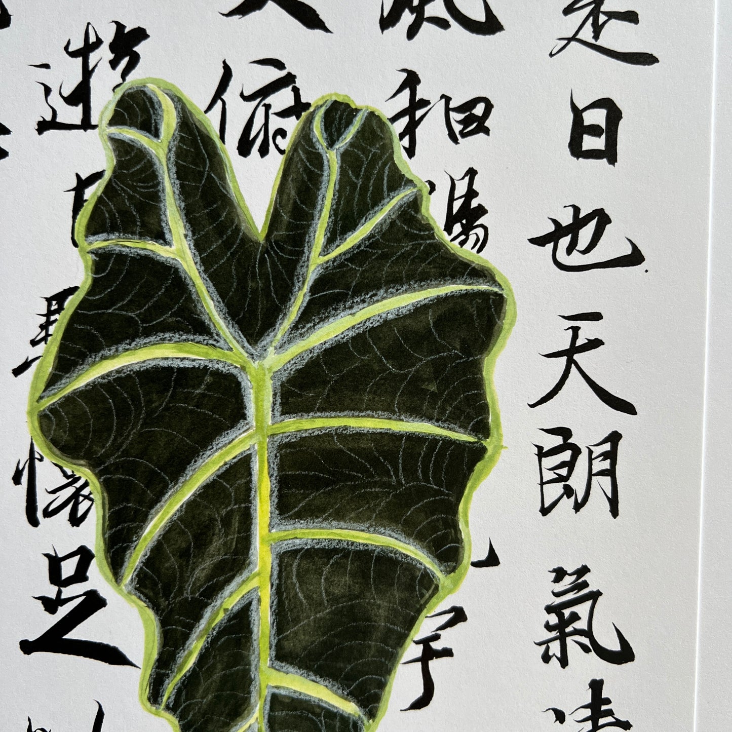 Alocasia Leaf over Calligraphy Print