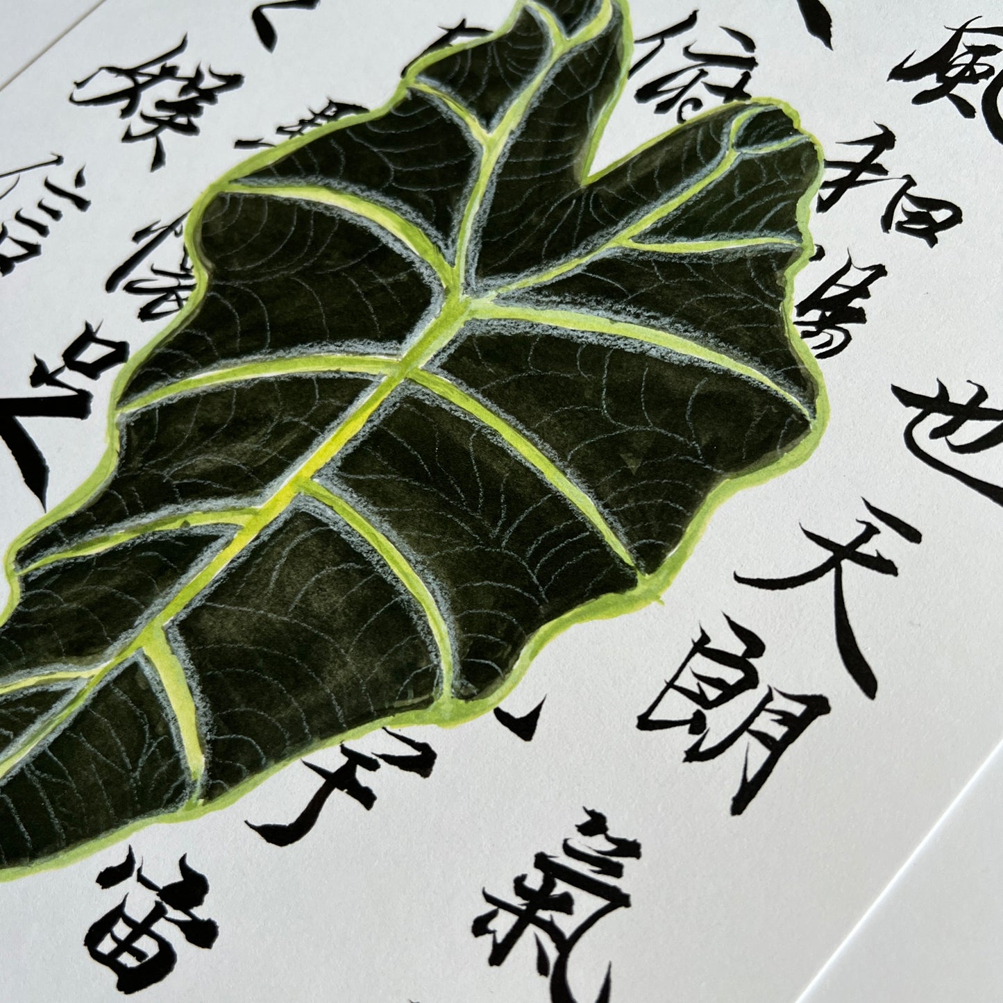 Alocasia Leaf over Calligraphy Print