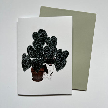 Cheeky Cat Greeting Card