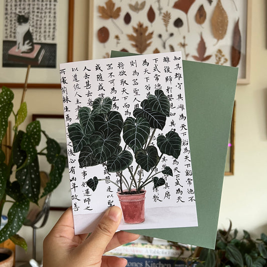 Philodendron Greeting Card