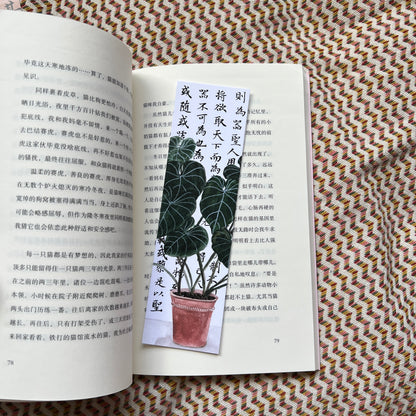 Bookmarks C -Set of 3
