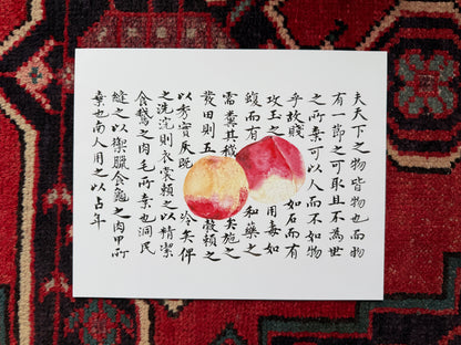 Peaches with Calligraphy Background Print