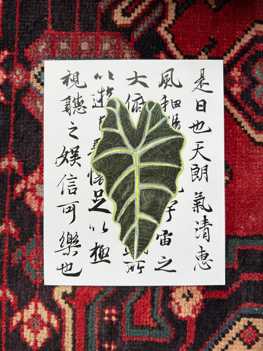 Alocasia Leaf over Calligraphy Print
