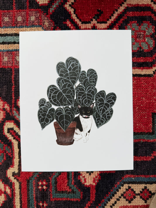 Cat and Anthurium Print