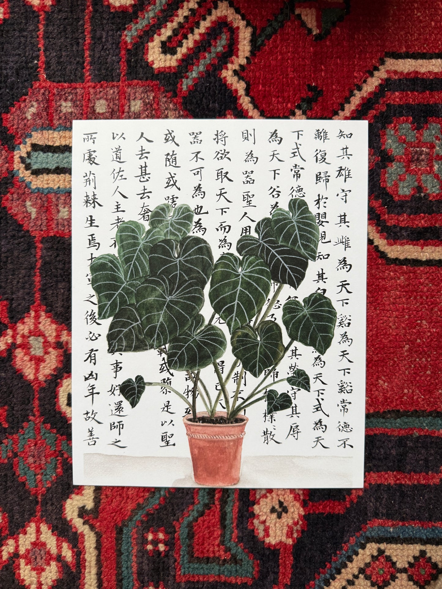 Plant and Philosophy Print