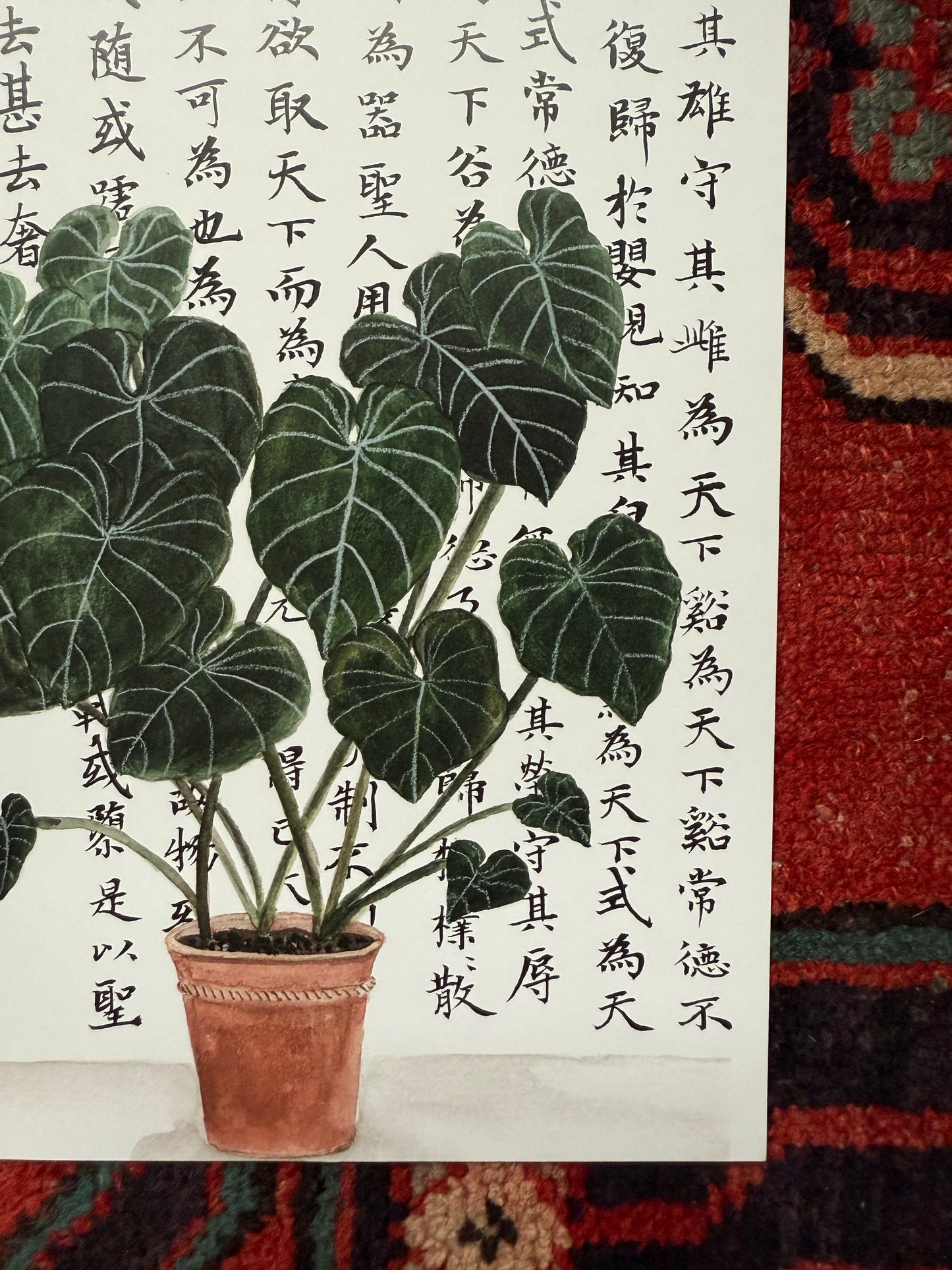 Plant and Philosophy Print