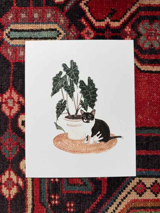 Tuxedo Cat and Alocasia Print