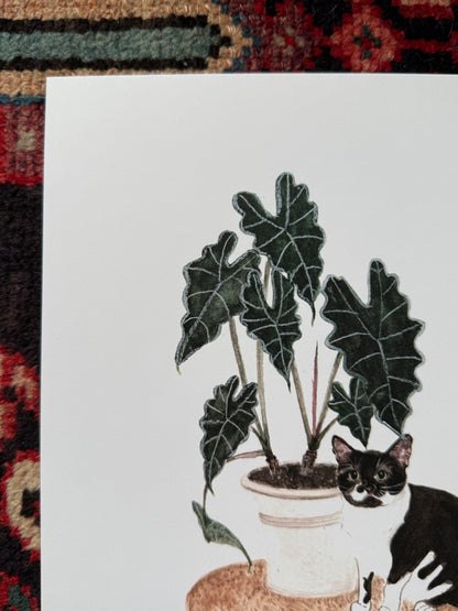 Tuxedo Cat and Alocasia Print
