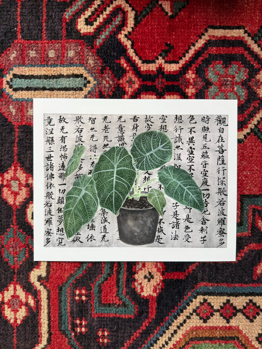 Alocasia Plant and Philosophy Print