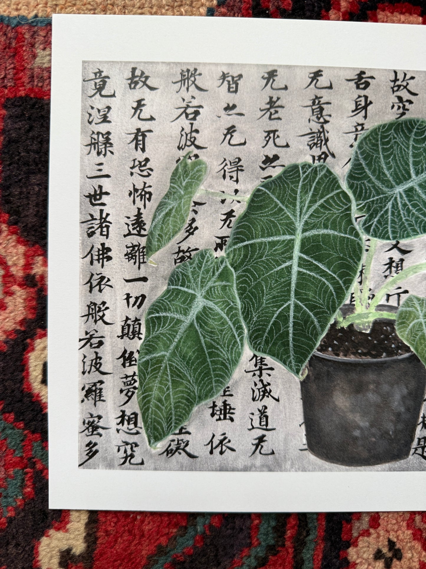 Alocasia Plant and Philosophy Print