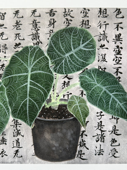Alocasia Plant and Philosophy Print