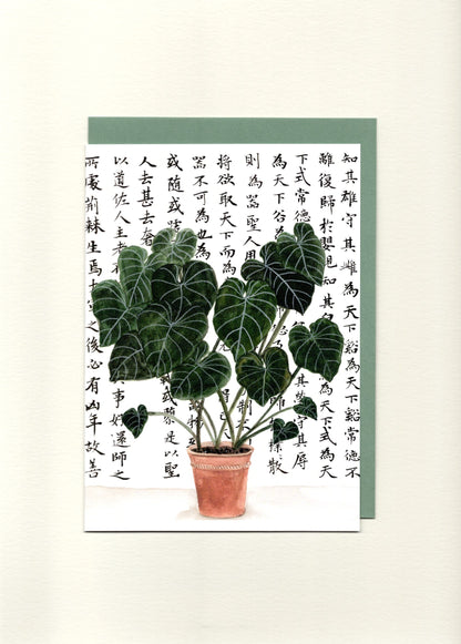 Philodendron Greeting Card