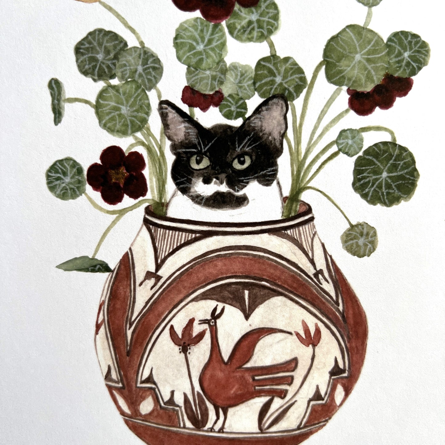 Tuxedo Cat and Nasturtiums Print
