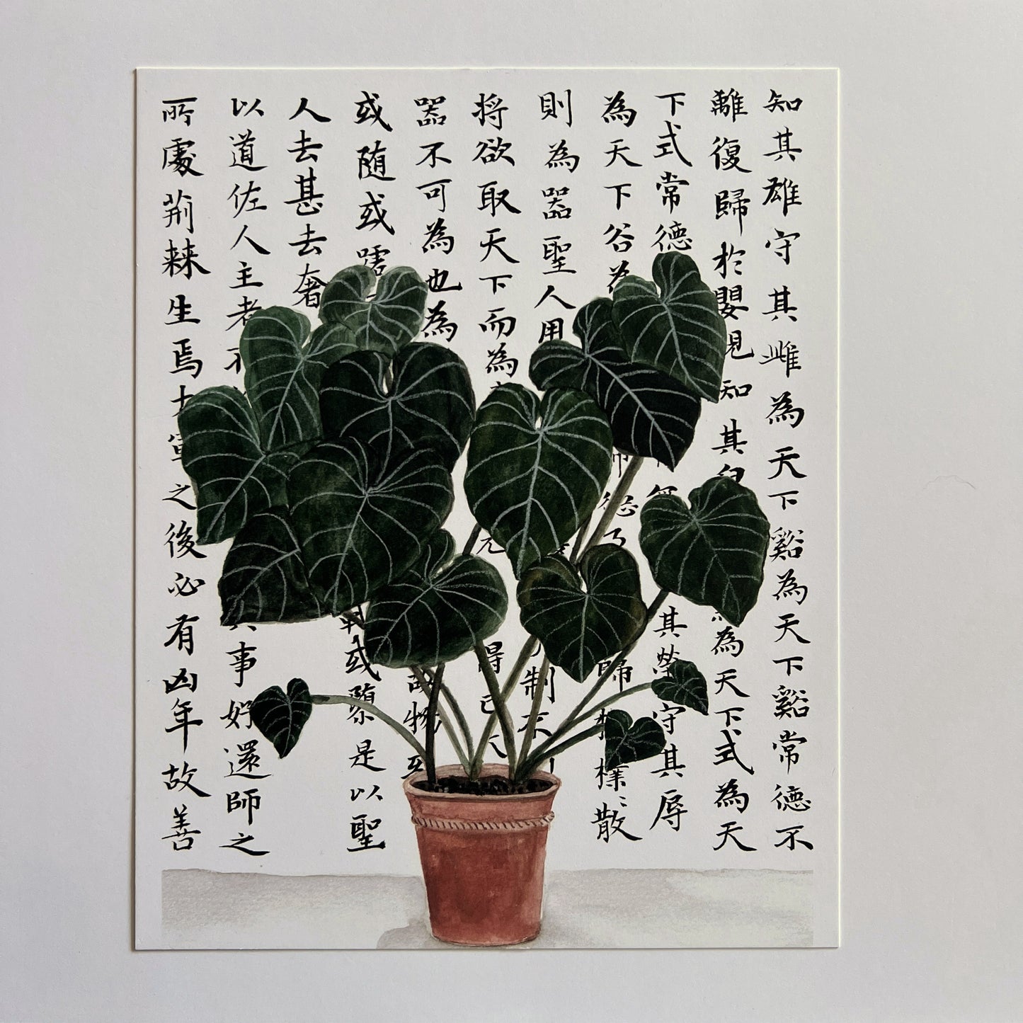 Plant and Philosophy Print