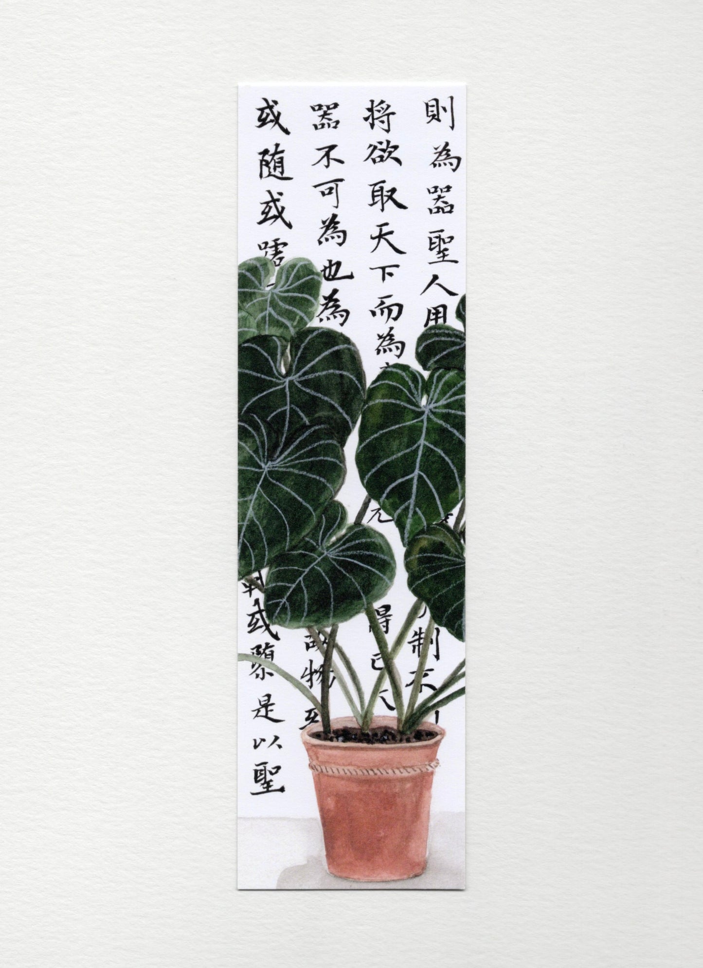 Philosophy Plant Bookmark