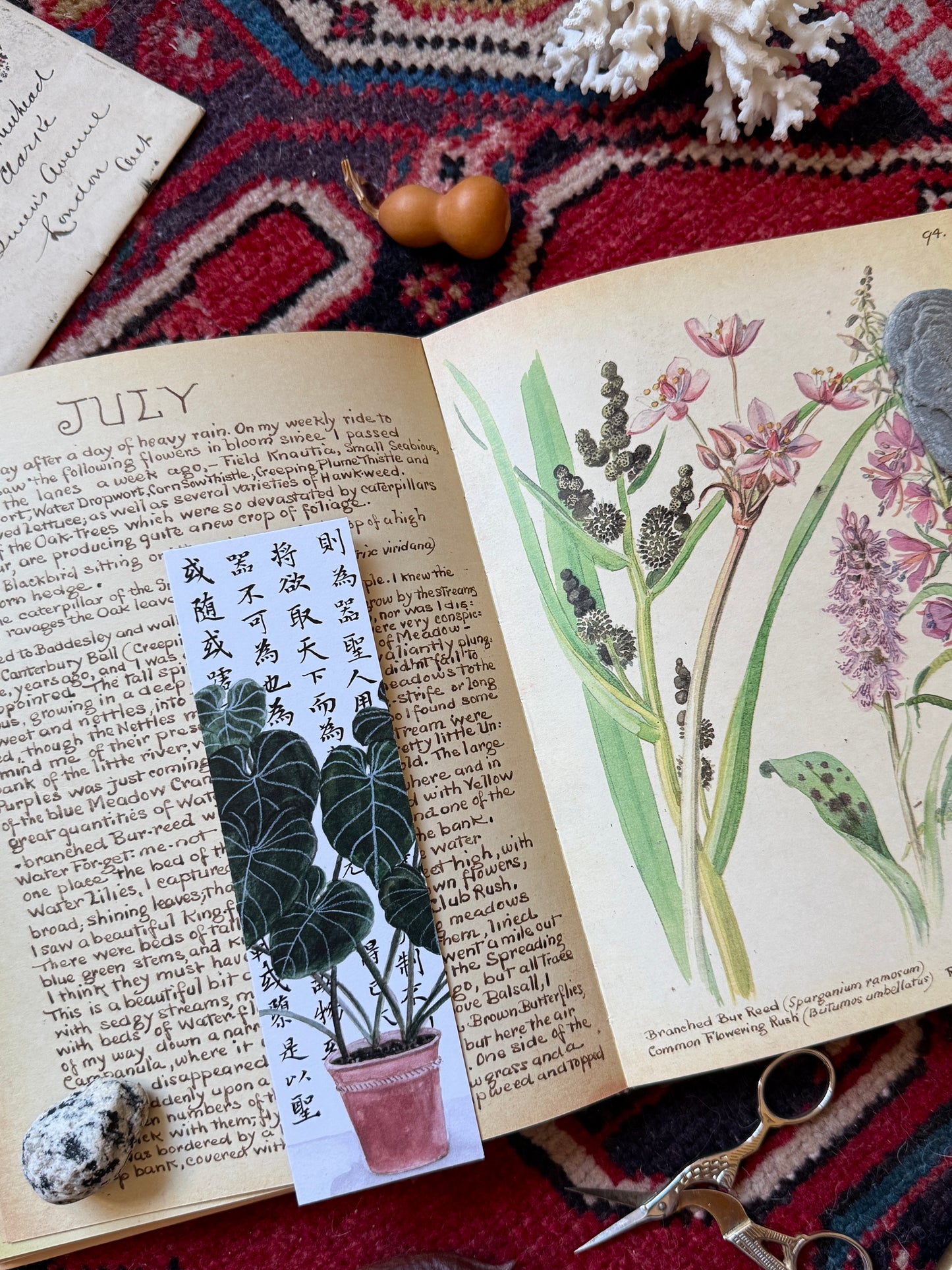 Philosophy Plant Bookmark