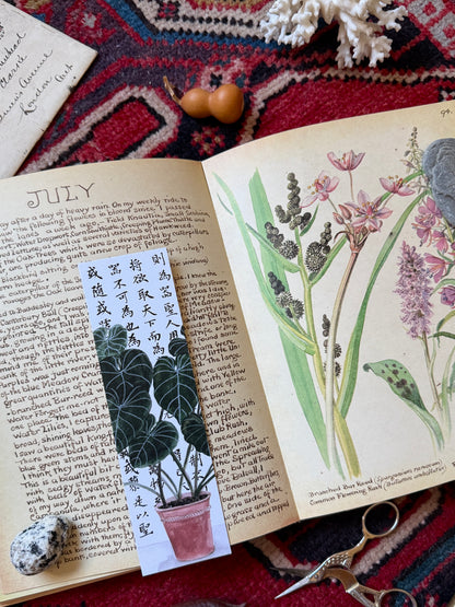 Philosophy Plant Bookmark