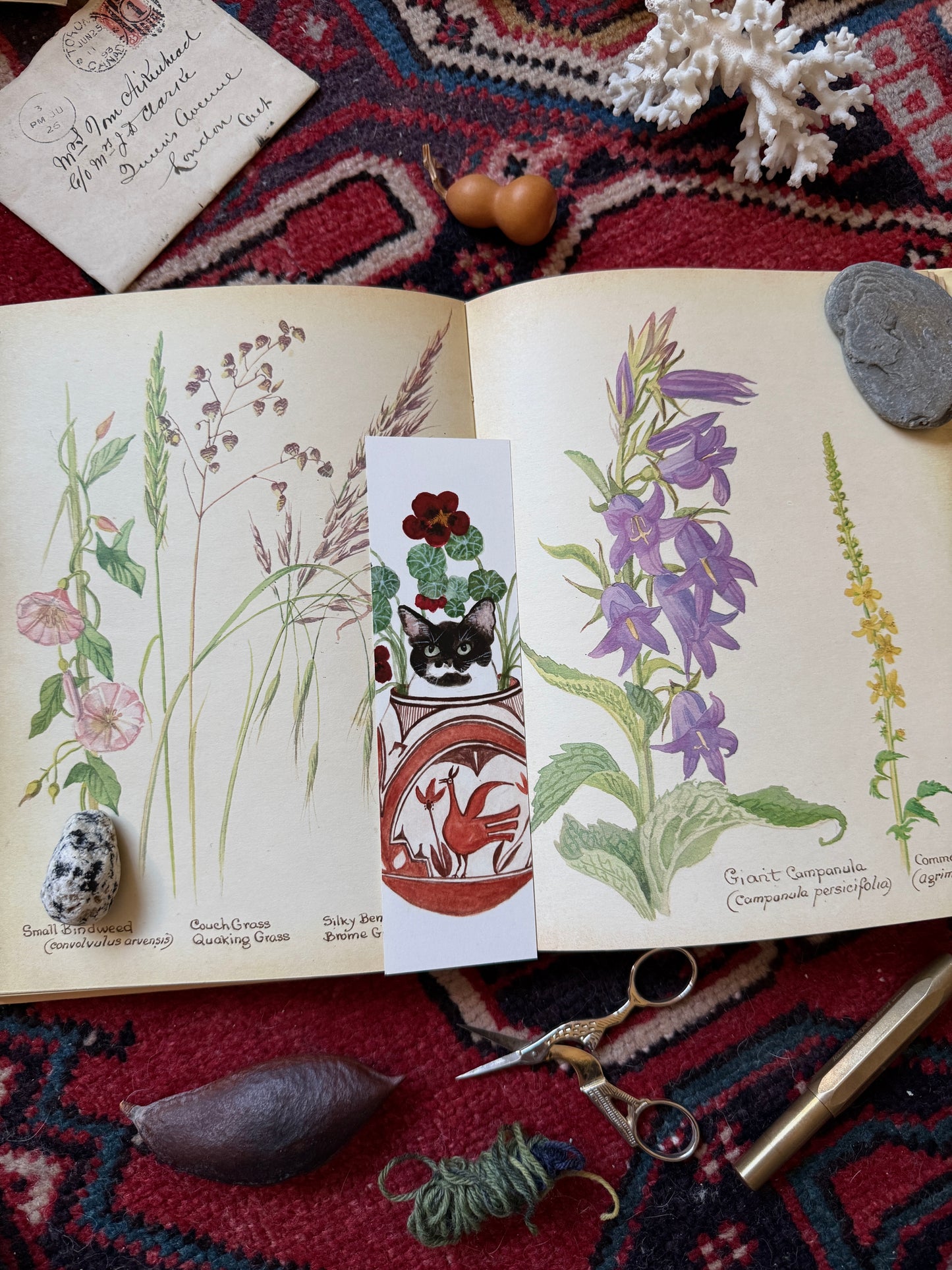 Tuxedo Cat in Flower Pot Bookmark