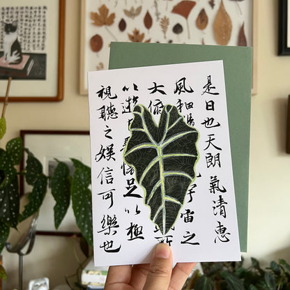 Alocasia Leaf Greeting Card