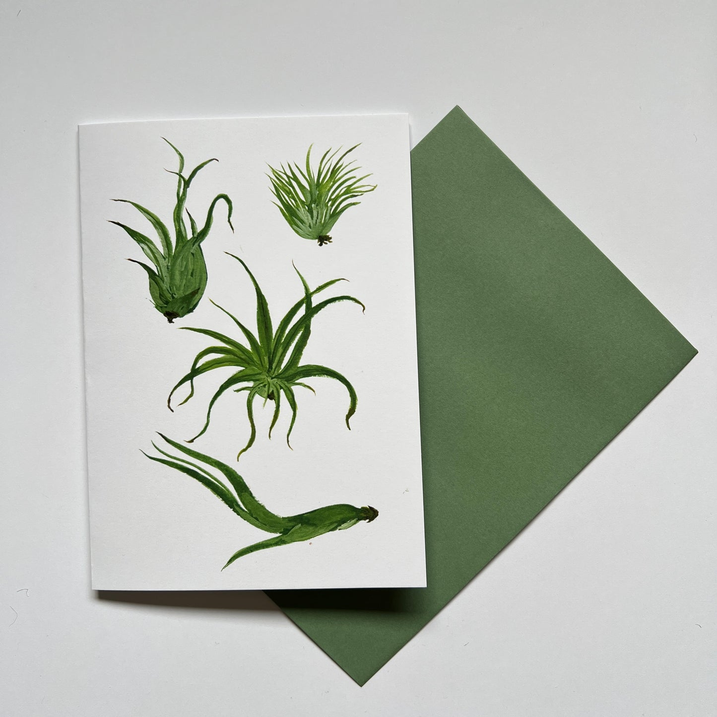 Air Plants Greeting Card