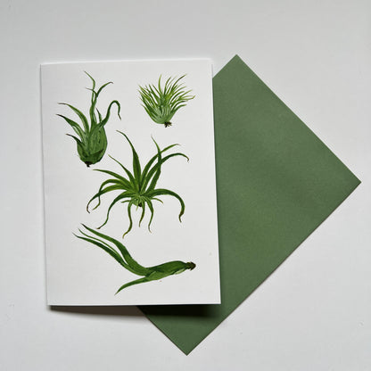 Air Plants Greeting Card