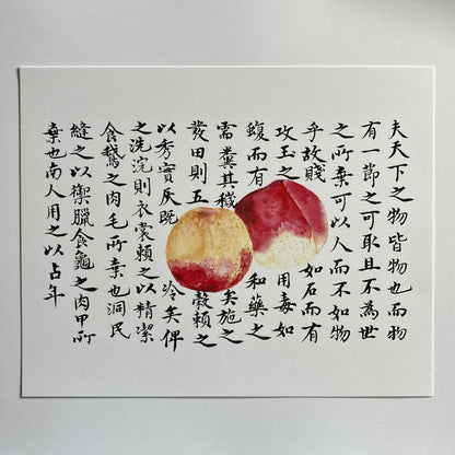 Peaches with Calligraphy Background Print