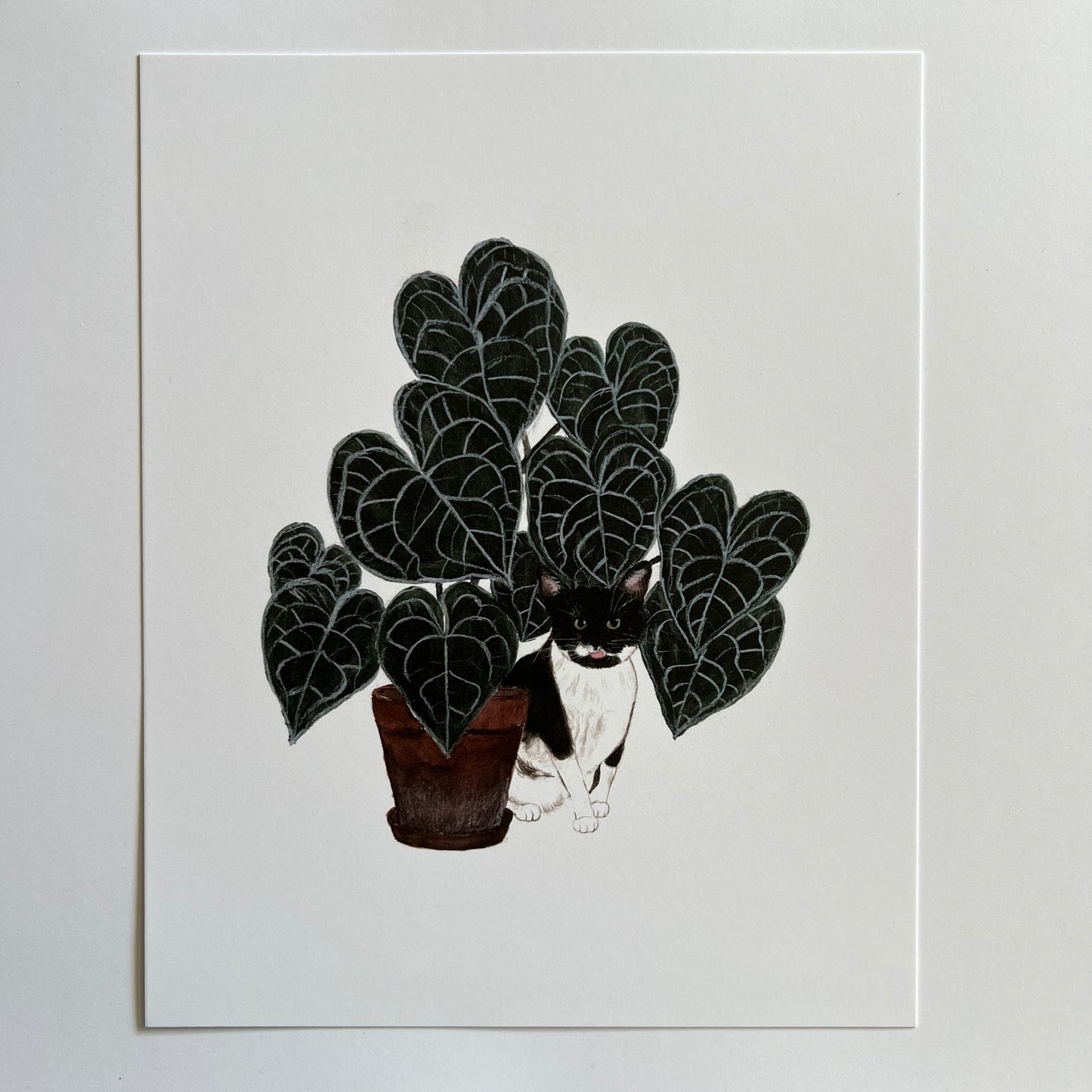 Cat and Anthurium Print