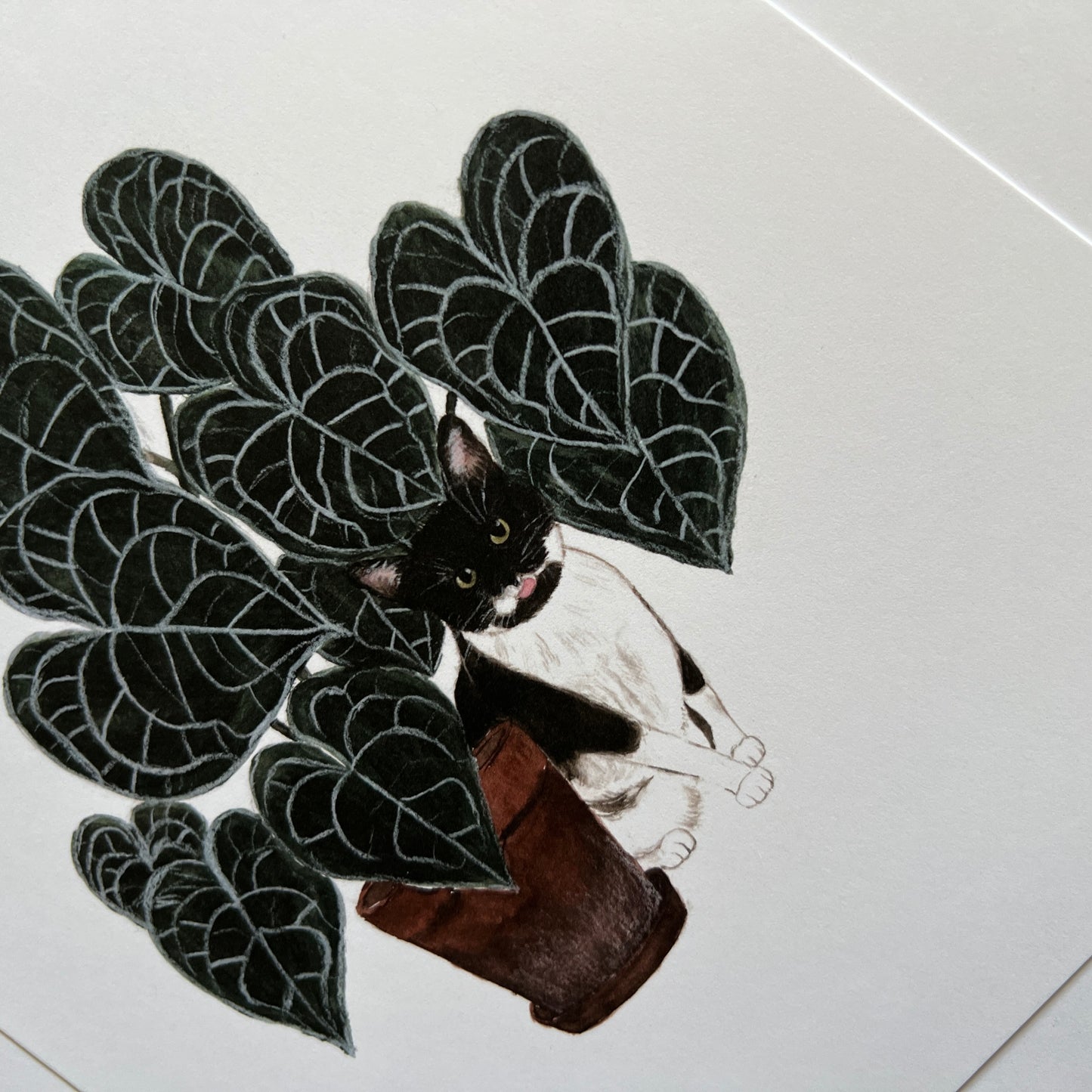 Cat and Anthurium Print