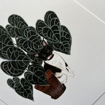 Cat and Anthurium Print