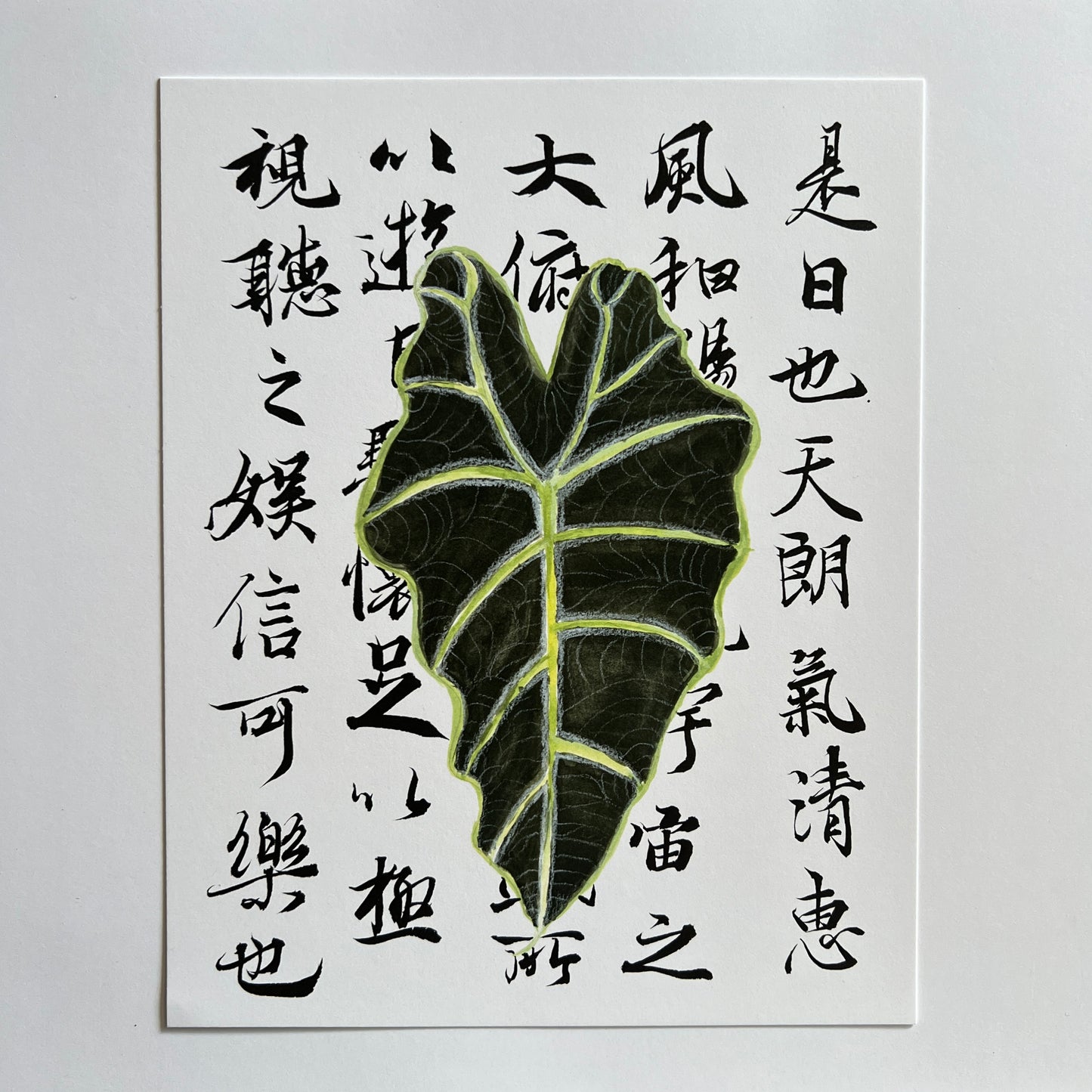Alocasia Leaf over Calligraphy Print