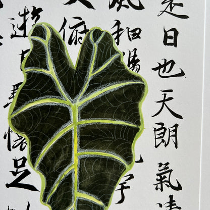 Alocasia Leaf over Calligraphy Print