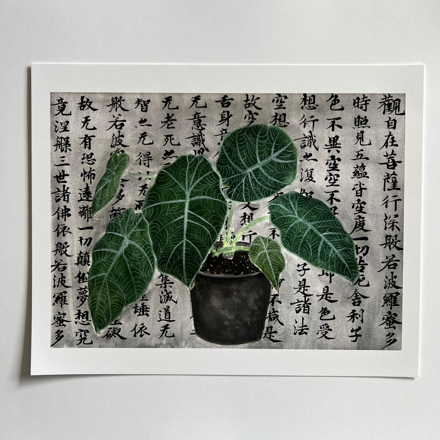 Alocasia Plant and Philosophy Print