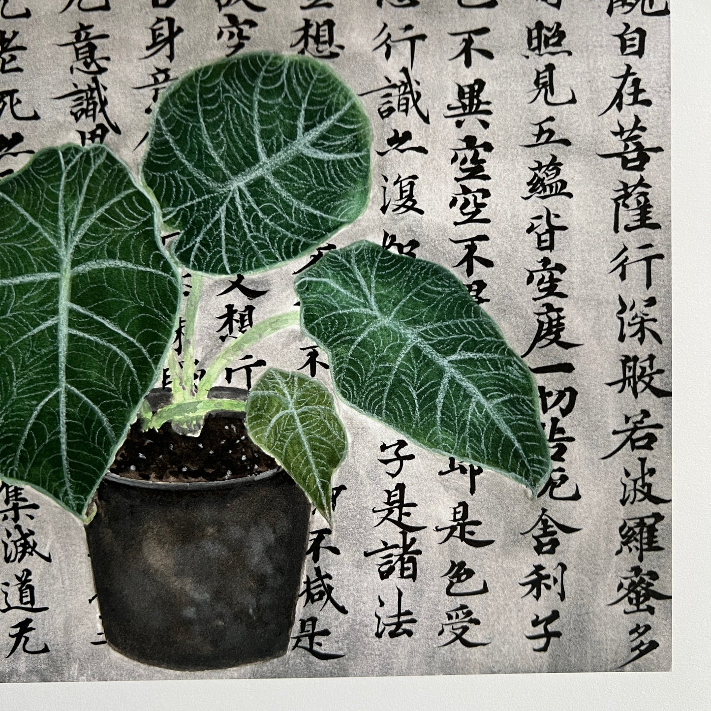 Alocasia Plant and Philosophy Print